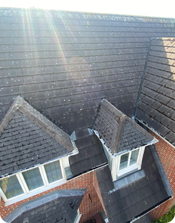Roof shown before cleaning